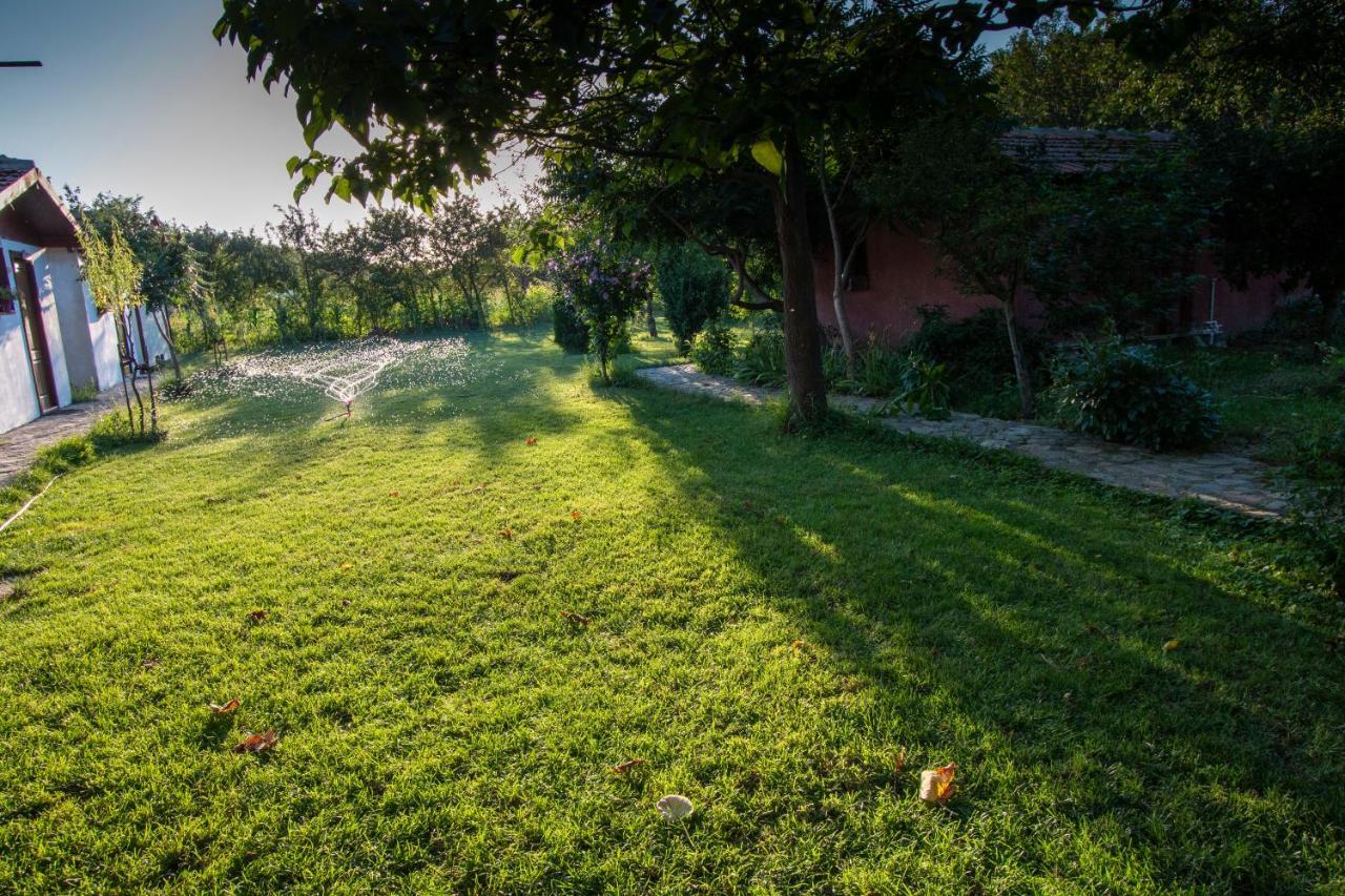 Vila La Livada Greci Exteriér fotografie