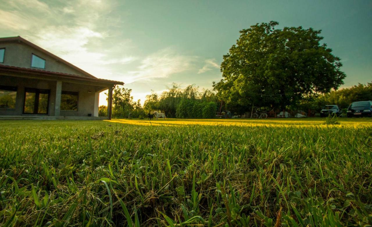 Vila La Livada Greci Exteriér fotografie